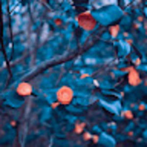 Meet your Posher, Kathi paden